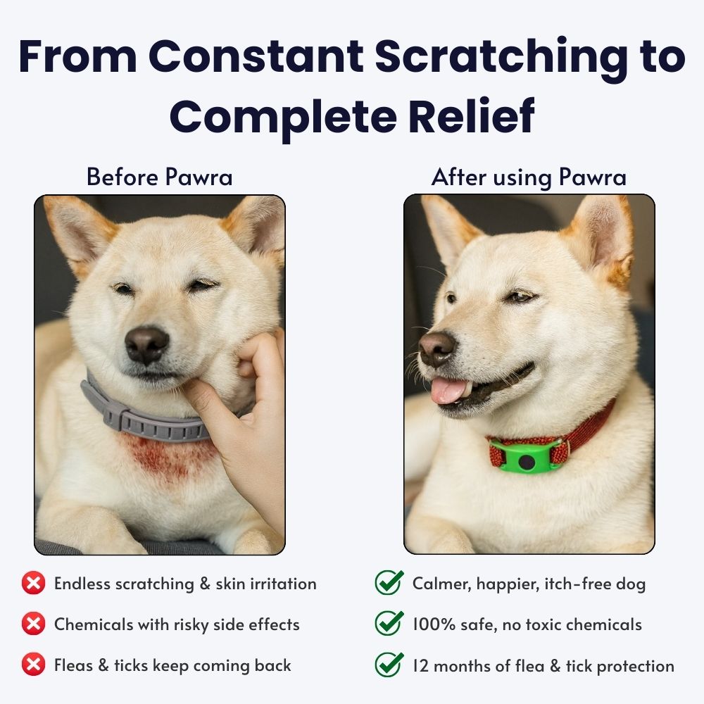 Pawra PestShield™