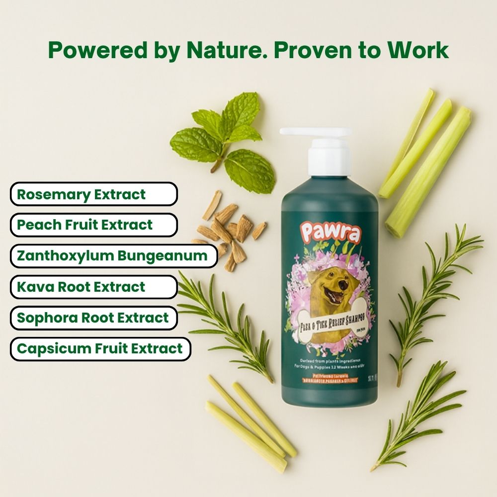 Pawra Flea & Tick Shampoo 16.9 fl oz