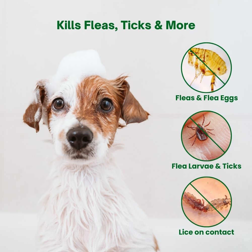 Pawra Flea & Tick Shampoo 16.9 fl oz