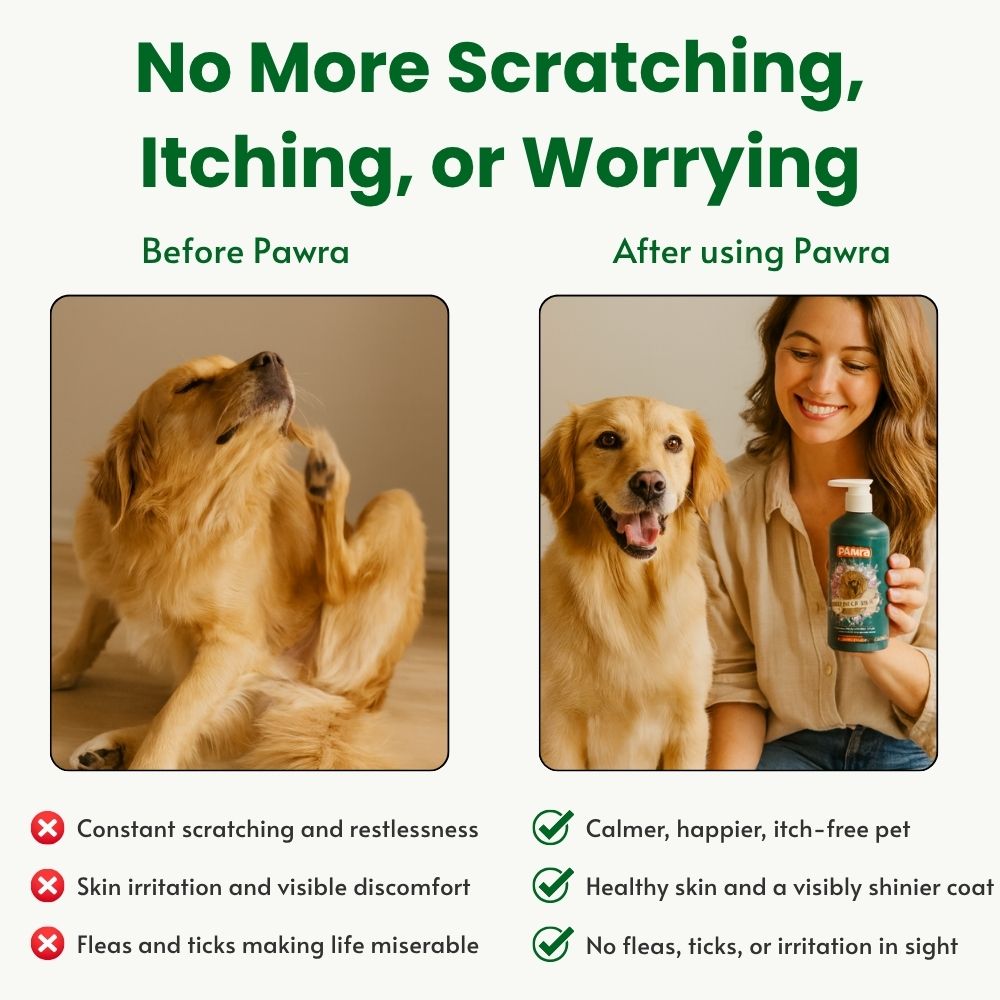 Pawra Flea & Tick Shampoo 16.9 fl oz