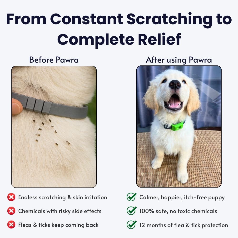 Pawra PestShield™